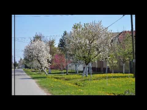 Juraj Súdi a skupina MAKS - Rok som už vojáčkom