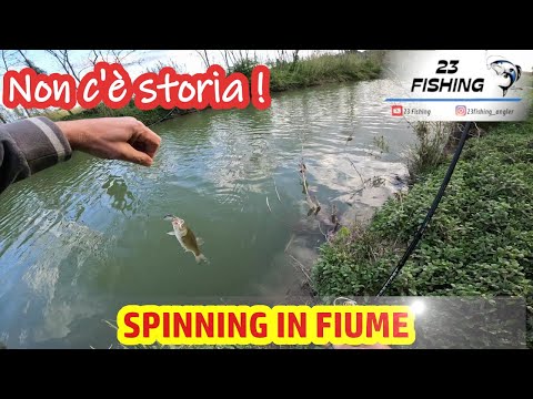 Spinning al cavedano: Non c'è storia!