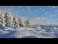 Winter Wonderland With Relaxing Piano Music Smart TV Background Video