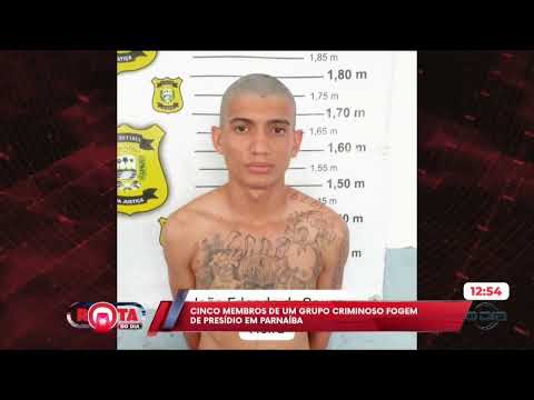 O Dia TV