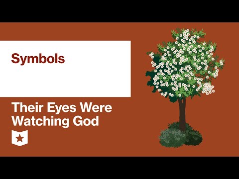 Their Eyes Were Watching God by Zora Neale Hurston | Symbols