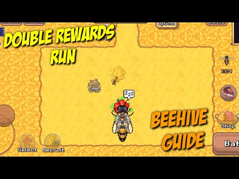 BEEHIVE DOUBLE RUN & BEGINNERS GUIDE | POCKET ANTS