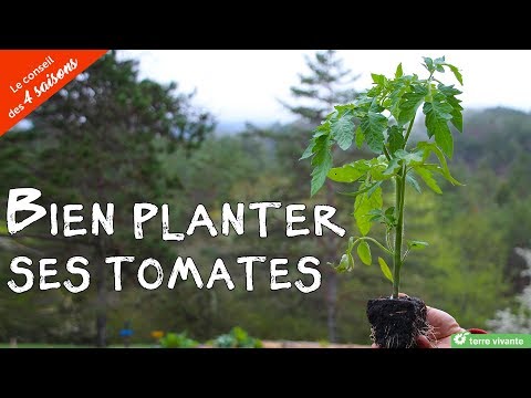 , title : 'Comment bien planter ses tomates - le conseil des 4 saisons'