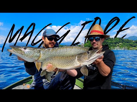 Lake Maggiore Pike! Pike Fishing from a Boat
