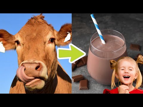 Health Benefits of Chocolate Milk You Never Knew - Until Now!