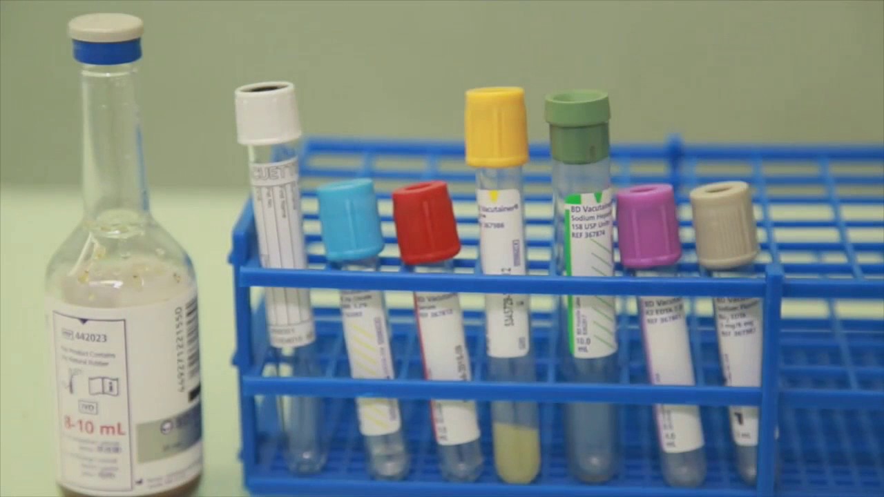 COLETA DE SANGUE VENOSO À VÁCUO (NORMA OMS) | PORTAL LAB CURSOS