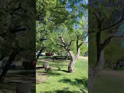 El Chapeton de Colonia Celina. Parana Campaña. Entre Rios. Parte 12.