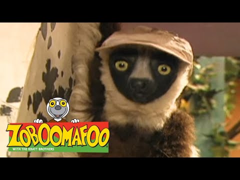 Zoboomafoo with the Kratt Brothers! SPOTS & STRIPES | Full Episodes Compilation