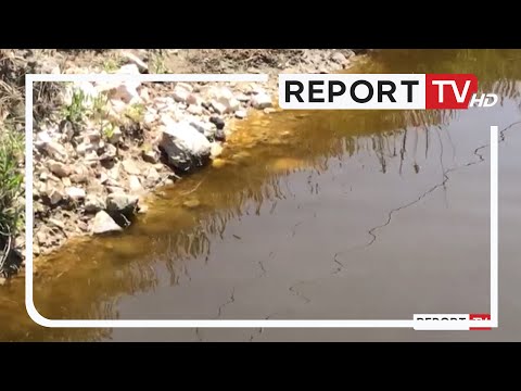 Report TV -Fermerët vadisin tokat me ujin e ndotur nga kolektori, thahen perimet!