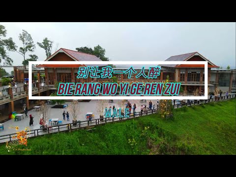 Bie Rang Wo Yi Ge Ren Zui (别让我一个人醉) Male Version - Karaoke mandarin with drone view