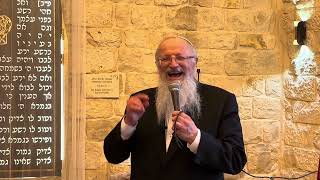 איך אפשר לאהוב כל אחד ואחד מישראל? | הרב שמואל אליהו | הילולת האר״י תשפ״ה (הרב שמואל אליהו) - התמונה מוצגת ישירות מתוך אתר האינטרנט יוטיוב. זכויות היוצרים בתמונה שייכות ליוצרה. קישור קרדיט למקור התוכן נמצא בתוך דף הסרטון