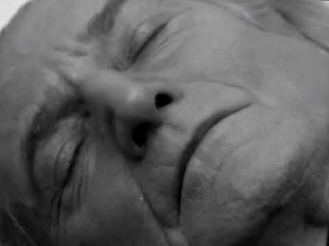 Doctor Who: 1st Doctors Regeneration Recreation (Bradly - Shearsmith)