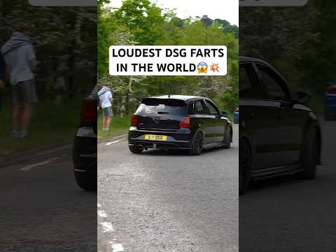 VW Polo GTI Has The Loudest DSG Farts In The World😱💥 #shorts #vwpolo #pologti