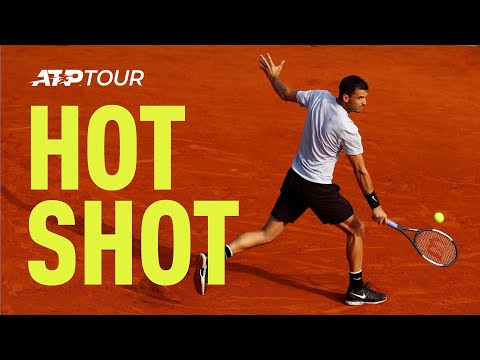 Теннис Hot Shot: Dimitrov Hits Unthinkable Winner In Monte-Carlo 2019