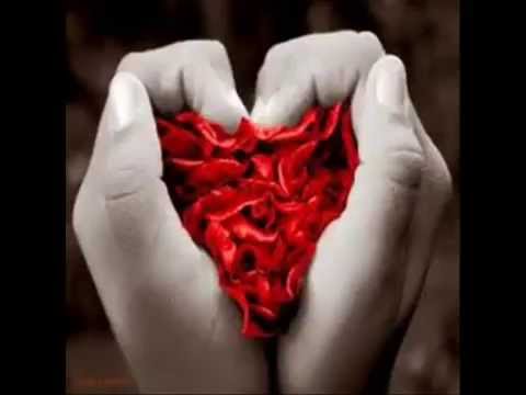 Damares  A dracma e o seu dono