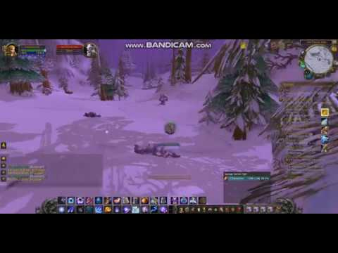 WoW Gold Farm: Azure Whelpling 10k-80k gold p/h