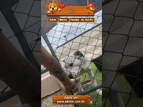 Vídeo de Max