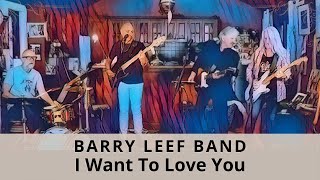 I Want To Love You (Delbert McClinton) cover by the Barry Leef Band