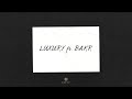 Mr Lambo & Bakr - Luxury (Official Audio)