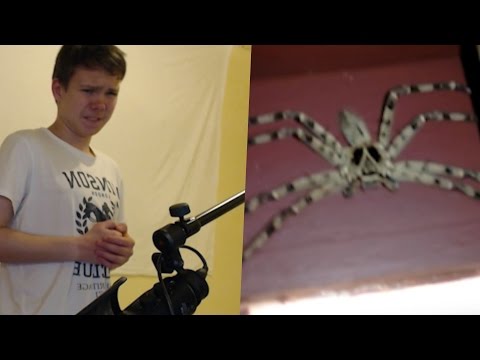 download lagu mp3 mp4 Clockwork Spider, download lagu Clockwork Spider gratis, unduh video klip Clockwork Spider