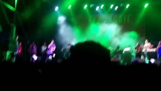 Alborosie- Fly 420 (Live)