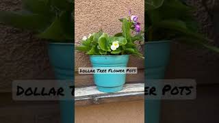 Dollar Tree flower pots | $1 planters, garden flower pots #shorts #plants #garden #dollartree