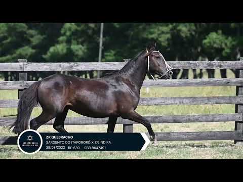 LOTE 17 - ZR QUEBRACHO RP 630