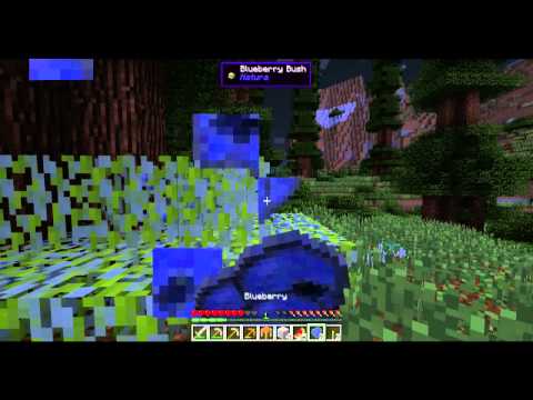 Let's Play Minecraft |DW20 1.7| - 001 - Des Miners Traum