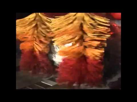 Ryko Soft Gloss Max Automatic Car Wash distributed by Good Sight Australia