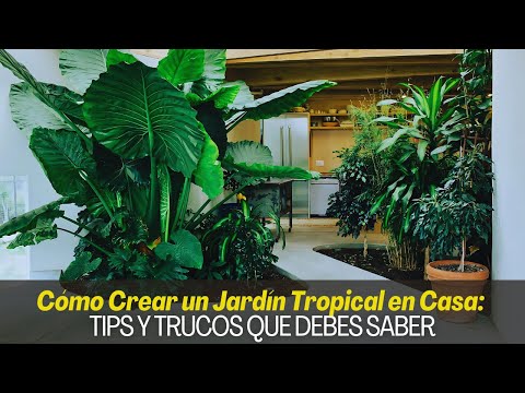 HOW TO CREATE A TROPICAL GARDEN AT HOME TIPS AND TRICKS YOU SHOULD KNOW
