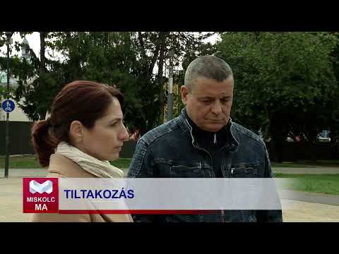 Videó előnézet