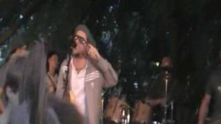 Jaya the Cat - Nightbus