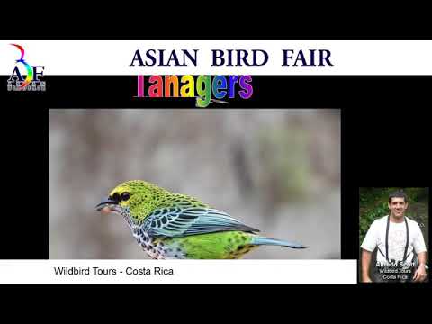 Birds and Birding Tourism in Costa Rica, ABF online talk 5 by Alfredo Scott, July 3, 2020