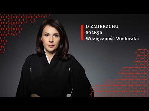S02E50 Wdzięczność Wieloraka - O Zmierzchu