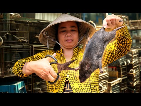 The Surprising Demand for Rat Meat in Vietnam