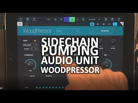 Woodman Woodpressor Audio Unit Sidechain Tutorial