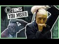 40 Things You Missed In Saw X 2023