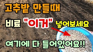 고추가 주렁주렁 달려요 고추밭 밑거름 비료 이렇게 이거 넣어보세요 여기에 다 들어있습니다 고추밭 만들기