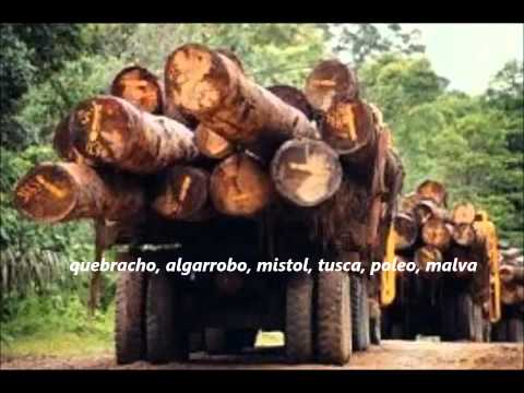 Las fumigaciones y el nuevo paisaje rural I