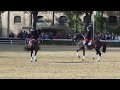 Pas De Deux Hengstparade NRW Landgestüt Warendorf 2019