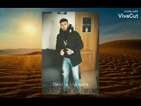 David La Maravilla - Lo Echaste A Perder