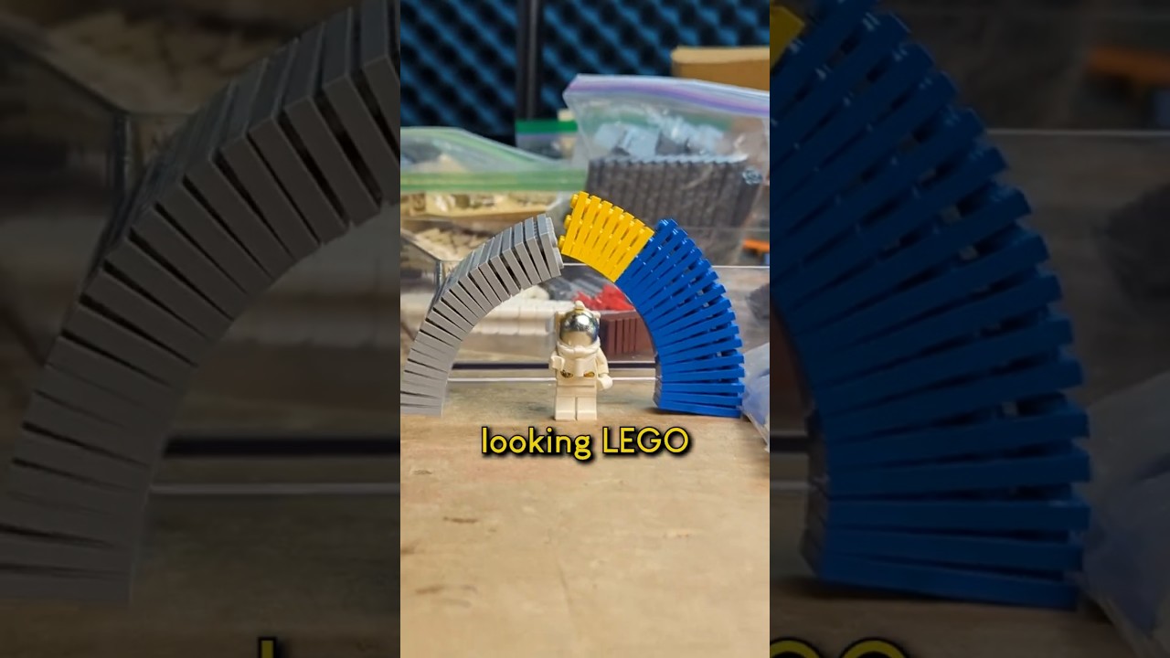 do you sort LEGO like this? #LEGO #legos #AFOL #legobuild #legomoc