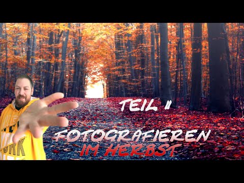 Fotografieren im Herbst 🍁 Tipps für Anfänger Teil 2 / Cuxhaven-Herbst | Cuxhaven Fotografiert