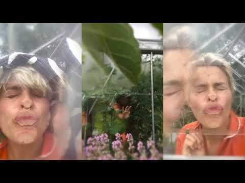 HIMLA - Jeg Savner Et Eller Andet