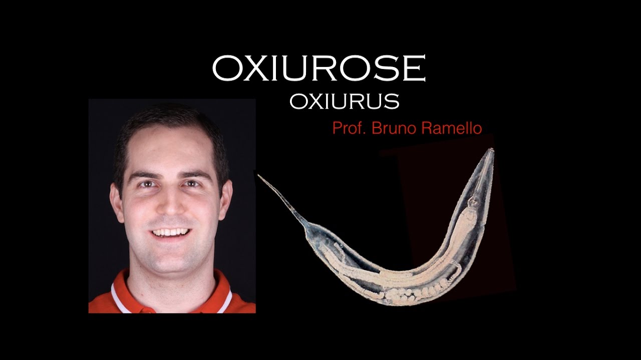 Verminoses - Oxiurose ou Oxiurus