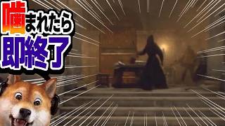 噛まれたら即終了 バイオハザードRE:4 / part403