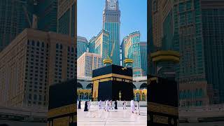 Download lagu Maulaya saliva salim daiman mp3