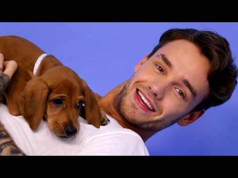 andrew's videos