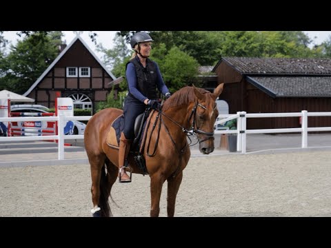 Traumatisiertes Pferd nach Unfall – wie eine Stute neu Vertrauen fand | Wiedersehen mit Funkelblitz