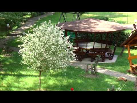 Spot   POPASUL JALESUL